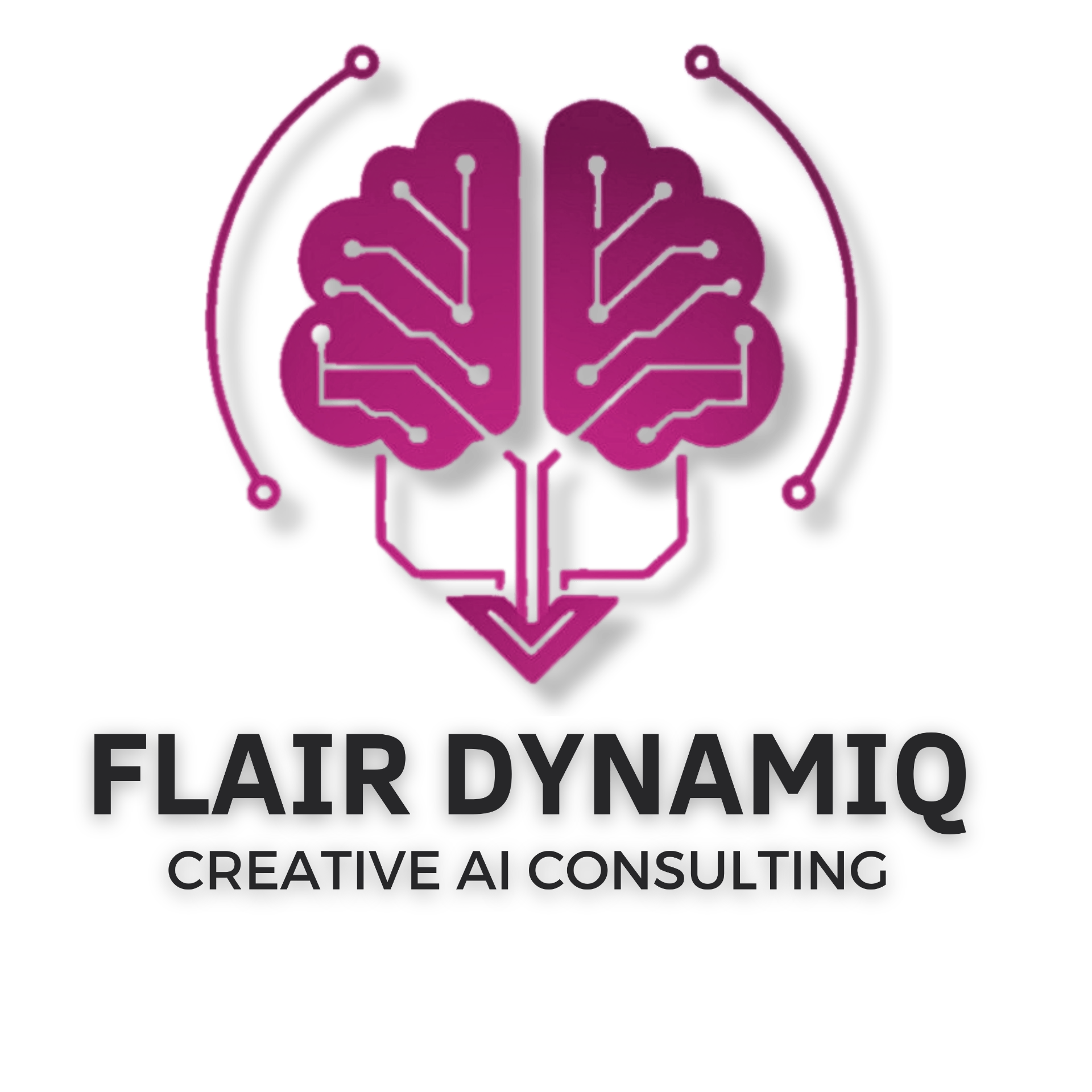 Flair Dynamiq